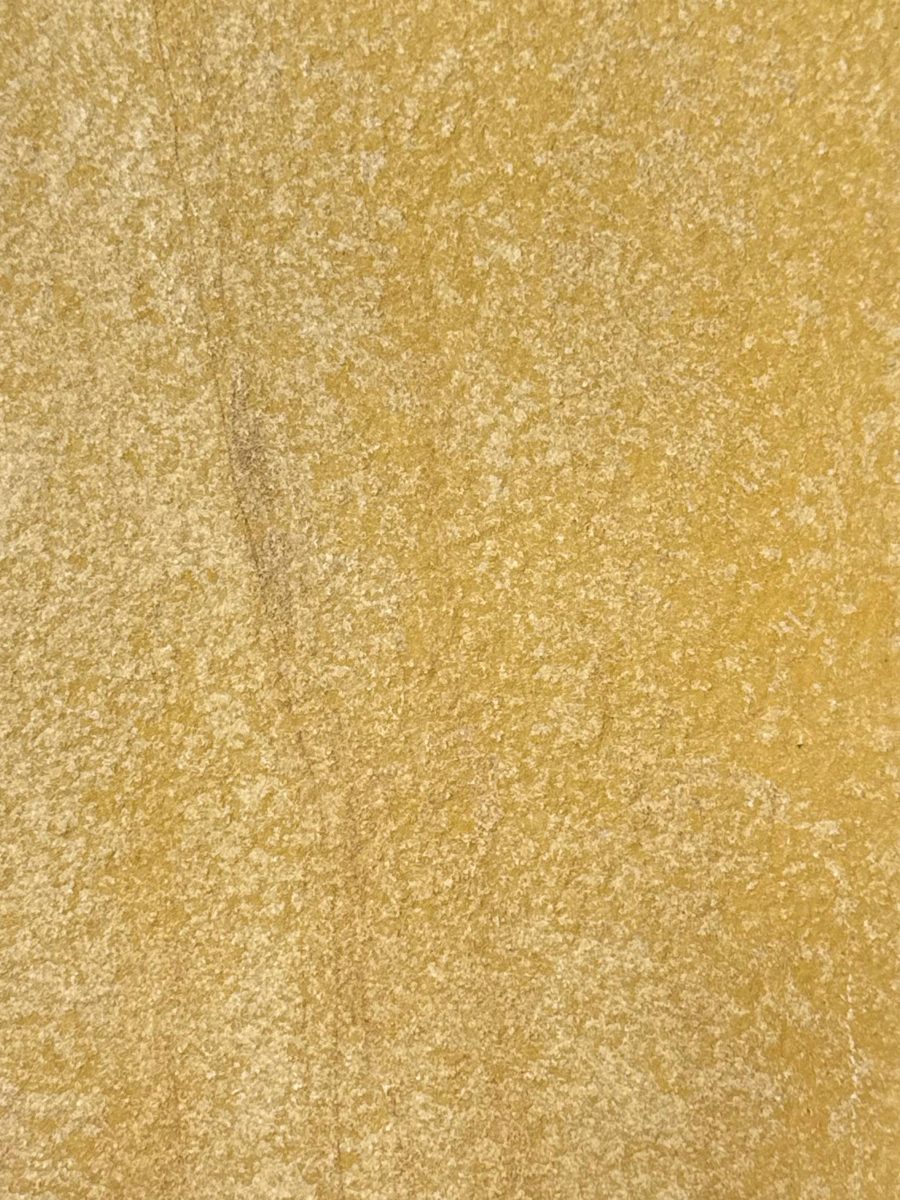 Piatră flexibilă RAW Teakwood, cod PNF-126
