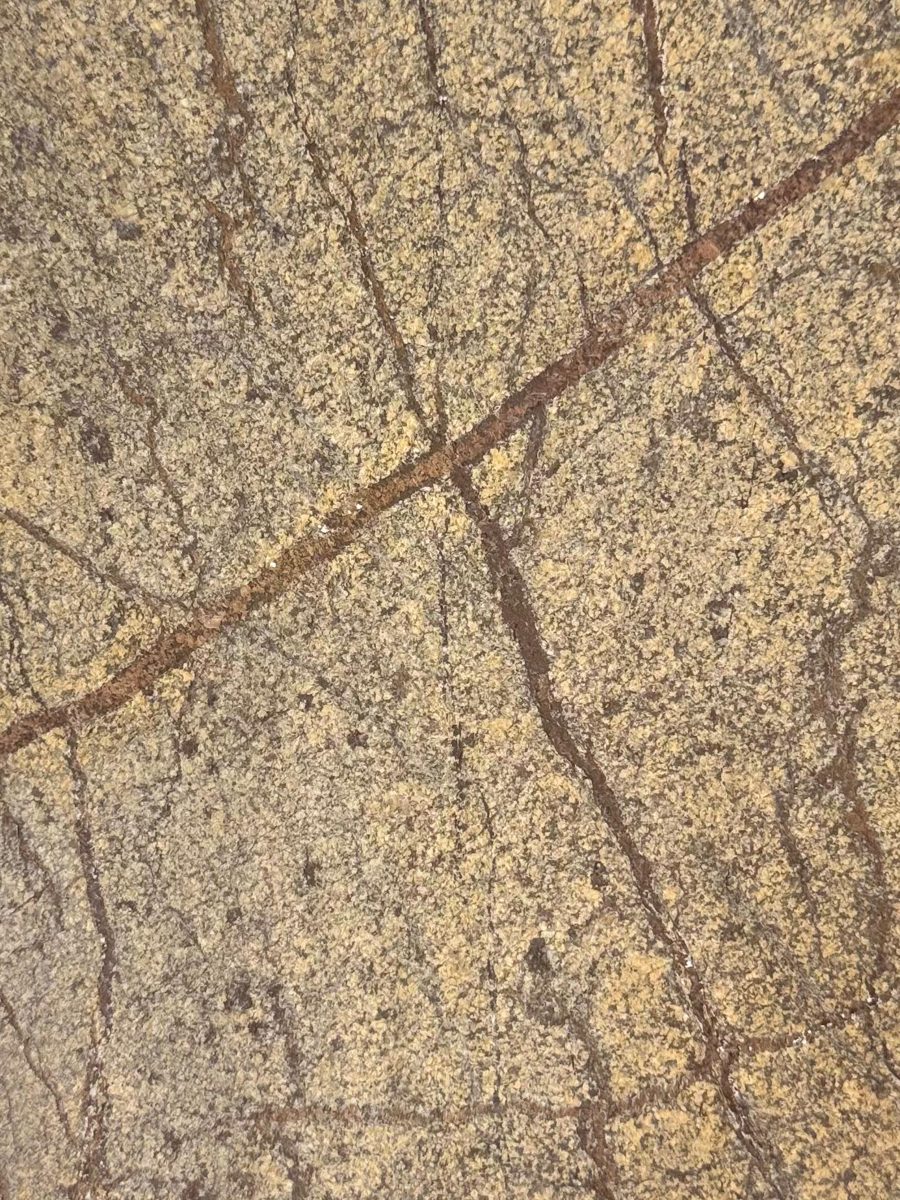 Piatră flexibilă RAW Rain Forest Brown, cod PNF-121