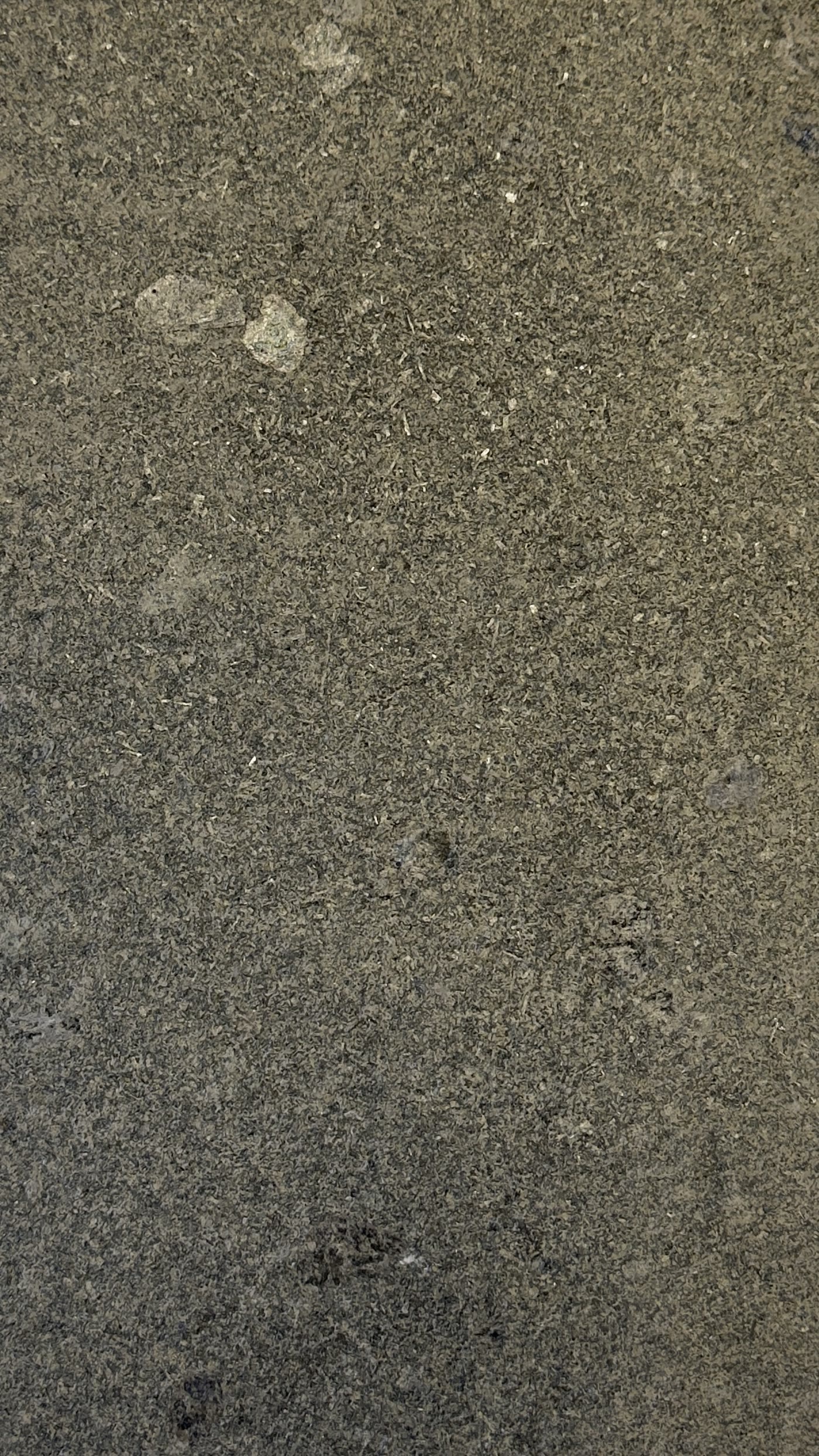 Piatră Granit Antracit Fațetat 4 laterale, suprafață fiamat, cod GRN-108, 60 × 30 × 3 cm, granit natural
