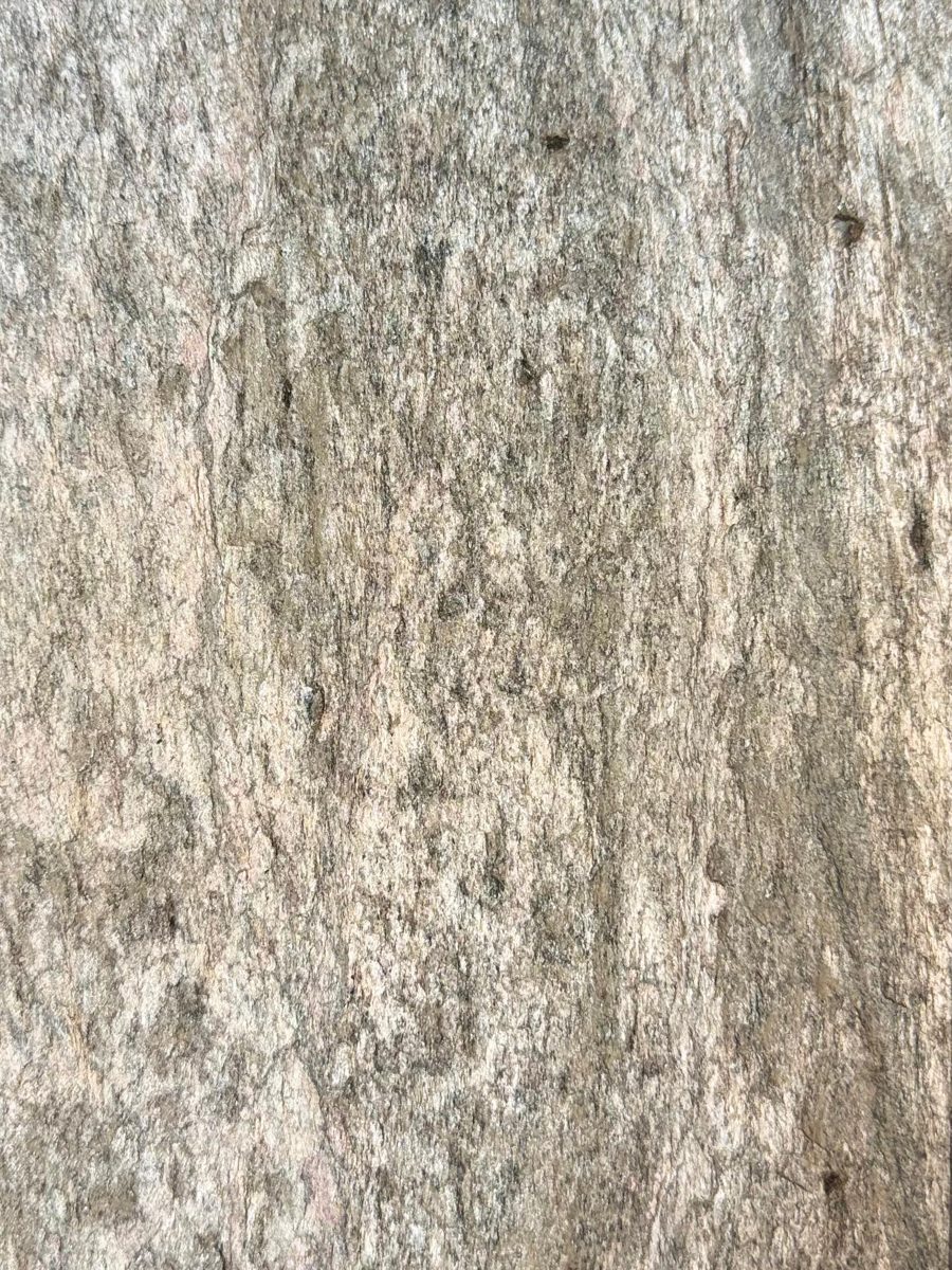 Piatră flexibilă RAW Golden, cod PNF-113
