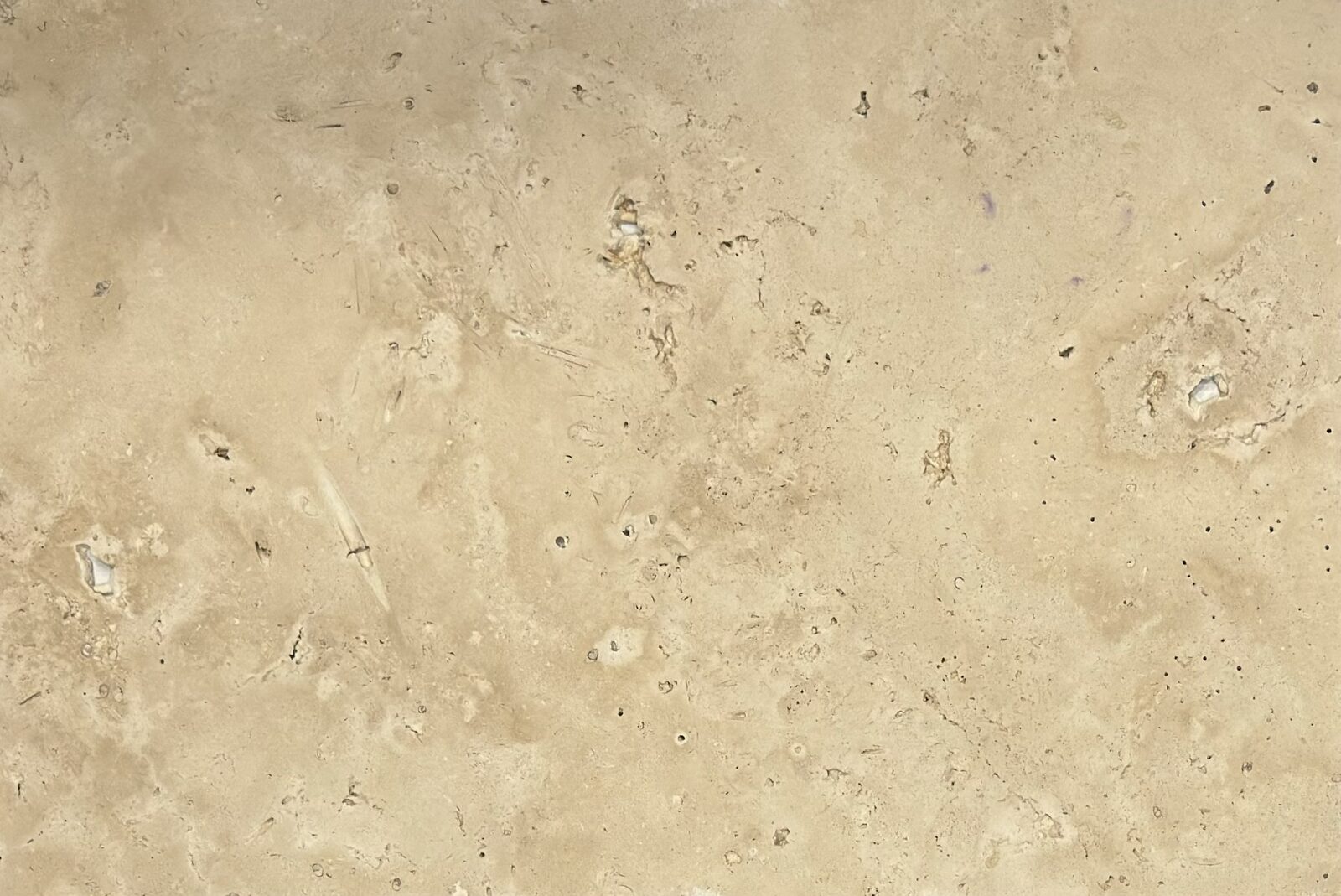 Travertin Eco Mix, cod TVT-113, travertin placaj 61 × 40,6 × 1,2 cm